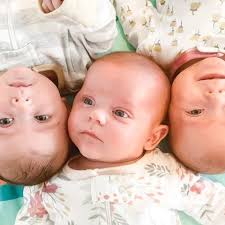 Fundraiser for Katelyn Greene by Andrea Gill : Greene triplets' grub fund