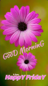 In those moments of despair, your loved one needs your think ahead and stay focused, good morning! 170 Good Morning Friday Ideas In 2021 Good Morning Friday Good Morning Morning