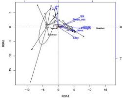 Image result for Leptonychia tokana