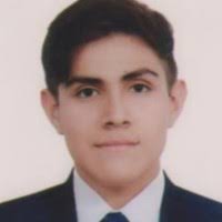 70+ "Quintanilla Castillo" profiles