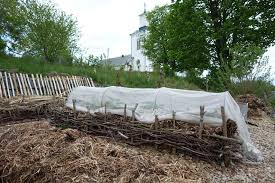 199 lowongan kerja guru solo bulan februari 2021. Plantera I Ensilage Sara Backmo