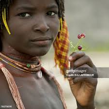 340 Red Pulp Stock Photos, High-Res Pictures, and Images