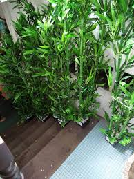 We did not find results for: Pokok Buluh Siap Simen Dalam Pasu Dan Alhamra Florist Facebook