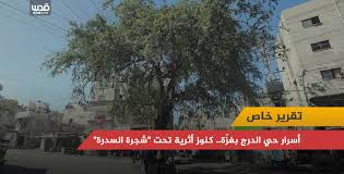 وفي الوقت الذي تضاربت فيه الأنباء حول سيطرة داعش على ميناءي السدرة وراس لانوف، أجمعت المصادر عن تواصل الاشتباكات العنيفة بين ما يعرف بحرس المنشآت النفطية. Ø£Ø³Ø±Ø§Ø± Ø­ÙŠ Ø§Ù„Ø¯Ø±Ø¬ Ø¨ØºØ² Ø© ÙƒÙ†ÙˆØ² Ø£Ø«Ø±ÙŠØ© ØªØ­Øª Ø´Ø¬Ø±Ø© Ø§Ù„Ø³Ø¯Ø±Ø© Ø´Ø¨ÙƒØ© Ù‚Ø¯Ø³ Ø§Ù„Ø¥Ø®Ø¨Ø§Ø±ÙŠØ©