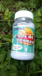 Terre De Diatomee Pour Chien Et Chat Remede Anti Puce Terre De Diatomee Anti Puces Naturel
