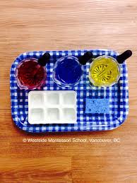 Montessori Practical Life Activity Color Mixing Using An Eye Dropper To Transfer Primary Colors Onto A Tray Practical Life Montessori Trays Montessori Art