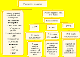 Image result for Preoperative Examination