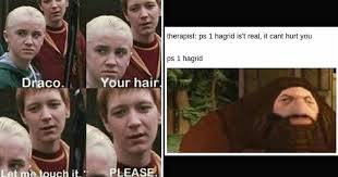 Harry potter fan club (and raffles). Sixteen Harry Potter Memes That Contain Sirius Comedy Memebase Funny Memes