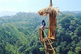 Jangan lupa untuk mengunjungi destinasi wisata menarik lainnya di kota batu malang dan sekitarnya seperti kusuma waterpark, tirta nirwana songgoriti atau juga wenditwaterpark malang. Harga Tiket Masuk Dan Lokasi Coban Bidadari Poncokusumo Spot Wisata Terbaru Yang Ngehits Di Malang Daka Tour