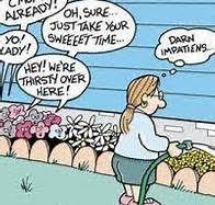 11 Florist Humor Ideas Humor Florist Flower Quotes Choose a sincere flower quote to express deep feeling or send a funny flower pun to put a smile on that special someone's face.