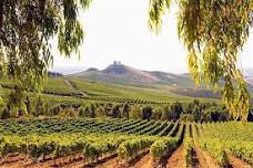 Wines of Italy Wine Class & Dinner at Villa Barone!