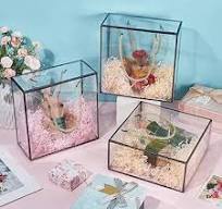 Amazon.com: BENECREAT 10 Packs Clear PET Plastic Gift Box ...