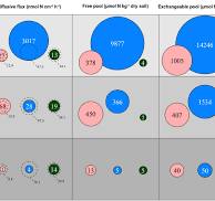 Nitrogen fluxes at the root-soil interface show a mismatch ...