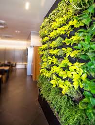 Un Giardino Verticale Per Una Casa Green E Originale 20 Ispirazioni