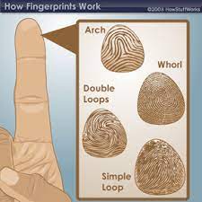 How did chickenpox get its name? What Are Fingerprints Howstuffworks