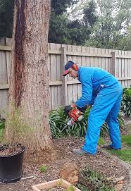 Maybe you would like to learn more about one of these? Chemical Soil Treatments Termite Specialists