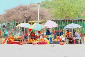 The windhoek city council is to provide a total of 20 000 heads of households in windhoek's informal settlements with acknowledgment of occupation certificates and lease agreements this year. Namibia Country Profile Freedom House