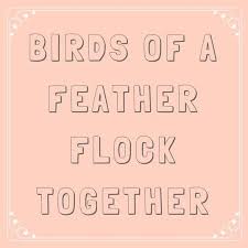 Proverb Birds Of A Feather Flock Together Quotes 63 Sayings You Learned From Your Southern Grandma Southern Sayings Southern Belle Secrets Old Quotes