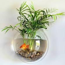Plastic plants give your tank or bowl a better look and help give your fish places to hide and feel protected. Clear Medium Sweetsea Hanging Wall Mounted Fish Bowl Aquaponic Tank Aquariums Plant Fish Bubble Fish Aquatic Pets Aquariums Fish Bowls Biquinismaranata Com Br