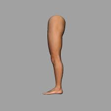 Anda mungkin akan mengalami masalah saat pemutaran video. Bein 3d Modell 39 Fbx Ma Free3d