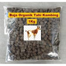 Temukan berbagai desain kandang kambing untuk semua jenis kambing mulai dari kambing etawa, kacang, boer, jawarandu, saanen, gembrong, samsir, kosta, borawa, marica, muara. Baja Tahi Kambing Proses 1kg Shopee Malaysia
