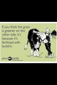 The Grass Is Always Greener On The Other Side Cartoon Geek Quotes You Cheated On Me Grammar Humor