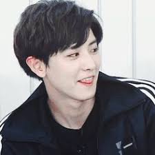 Which Male Idol Do You Want As Your Next Door Oppa