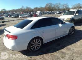 Image result for Ibis White 2012 A4