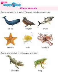 Water Animals Animals Live In Water Ocean Animals Pictures