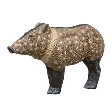 The average group size is 10 or less, but a few herds have known to number up to 53 animals. Rinehart Woodland Javelina Archery Target Sportsman S Warehouse