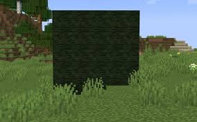 How do i get a command block in minecraft 1.8.9? Better Dried Kelp Block Minecraft Texture Pack