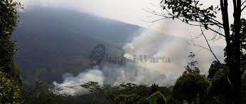Pencegahan kebakaran hutan dan lahan menjadi pendekatan utama yang dilakukan. Turunnya Hujan Bantu Padamkan Api Yang Membakar Kawasan Hutan Gunung Ciremai Bingkaiwarta