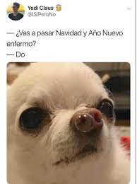 Pin De Lucia Month En Memes Memes Divertidos Imagenes De Perros Graciosos Memes De Enfermos