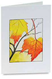 See more ideas about watercolor cards, cards, cards handmade. Strathmore Watercolor Cards Blick Art Materials