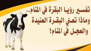 البقر الكثير في المنام يدل على المرض حسب تفسير ابن شاهين، فرؤية بقر كثير في الحلم فيه إناث وذكور تمشي أو تدخل مدينة أو قرية؛ كل ذلك يدل على . ØªÙØ³ÙŠØ± Ø±Ø¤ÙŠØ§ Ø§Ù„Ø¨Ù‚Ø±Ø© ÙÙŠ Ø§Ù„Ù…Ù†Ø§Ù… ÙˆÙ…Ø§Ø°Ø§ ØªØ¹Ù†ÙŠ Ø§Ù„Ø¨Ù‚Ø±Ø© Ø§Ù„Ø¹Ù†ÙŠØ¯Ø© ÙˆØ§Ù„Ø¹Ø¬Ù„ ÙÙŠ Ø§Ù„Ù…Ù†Ø§Ù… Youtube