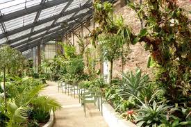 Botanischer garten heidelberg kindergeburtstag warum haben wir uns. Schauhauser