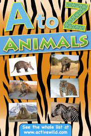 A To Z Animals List For Kids With Pictures Facts Animal A Z Information Animal Facts For Kids List Of Animals Animal Facts