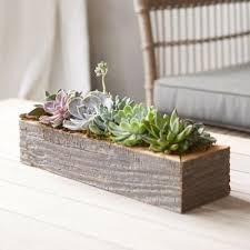 The succulents are a flawless choice for decorating a house. Living Succulent Centerpiece Trough Succulent Centerpieces Garden Centerpiece Wooden Succulent Planter