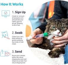 The reason behind this is the number of tests like the cat's health risk, genetic traits, etc that are included in each test kits. Amazon Com Basepaws Cat Dna Test Kit Feline Breed Groups Diseases And Traits Cats Dna Testing Includes 17 Genetic Diseases Just Swab Send A Dna Sample Get