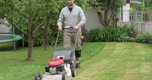 So Erneuern Sie Ihren Rasen Ohne Umgraben Garten Rasen Erneuern Garten Ideen