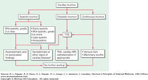 Approach To The Patient With A Heart Murmur Harrisons