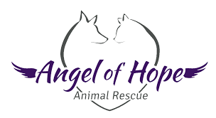 Search our extensive list of dogs, cats and other pets available for adoption and rescue near you. Angel Of Hope