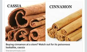 Pada awalnya, ia merupakan sesuatu yang sangat jarang dan berharga, bahkan pernah dijadikan sebagai hadiah. Banyak Betul Kegunaan Kulit Kayu Manis Yang Kita Kena Tahu Iamfuzy Com