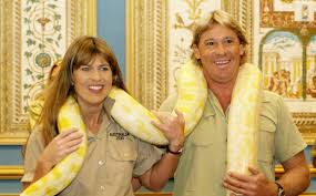 11,759 likes · 296 talking about this. Steve Irwin The Incredible Story Of The Wildlife Warrior The Independent The Independent