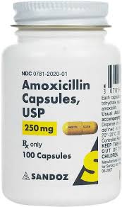 Image result for Amoxicillin