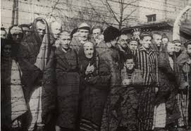 Learn more about the holocaust in this article. Survey Finds Shocking Lack Of Holocaust Knowledge Among Millennials And Gen Z