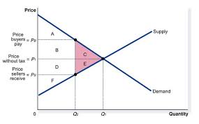 Chapter 8 Questions For Review Flashcards Quizlet
