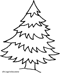 10 Inspirant De Sapin Dessin Image Sapin Dessin Coloriage Sapin Coloriage Lutins De Noel
