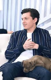 Tom S Puppy Is So Cute And Tom As Well Cocktailsrecipes In 2020 Tom Holland Imagines Tom Holand Tom Holland Peter Parker