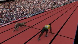 Check spelling or type a new query. Speed Comparison Average Person Vs Usain Bolt Cheetah Youtube